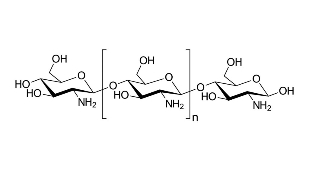 The Effect of Heat Treatment on Chitosan Nanocomposites