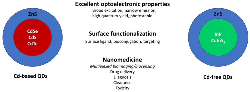 The Recent Developments in Using Cadmium-free Quantum Dots