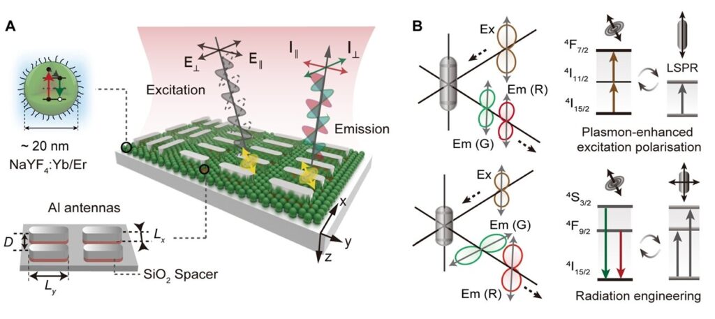 Anisotropic plasmon engineering unlocks multilevel polarized upconversion