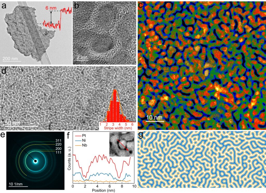 Engineering stable and efficient nanosheet catalysts with Turing structures for hydrogen production