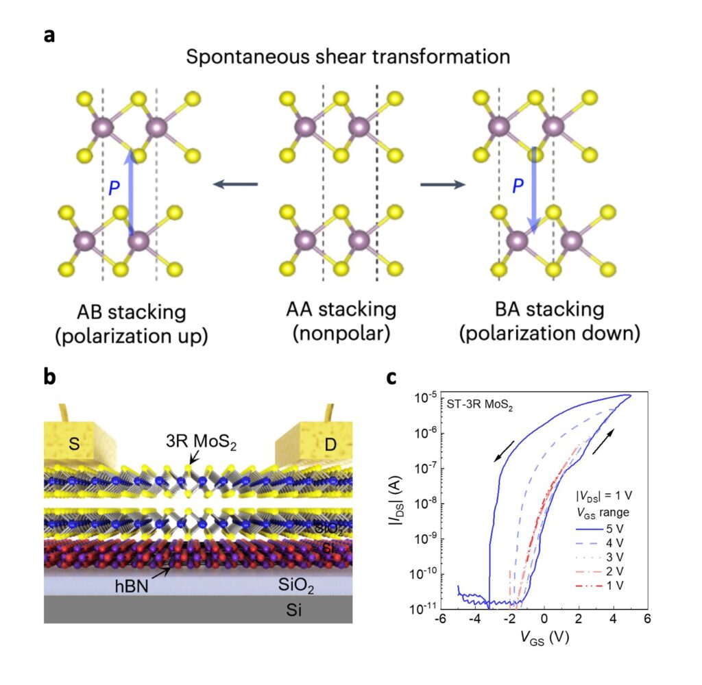 Team develops transistors with sliding ferroelectricity based on polarity-switchable molybdenum disulfide