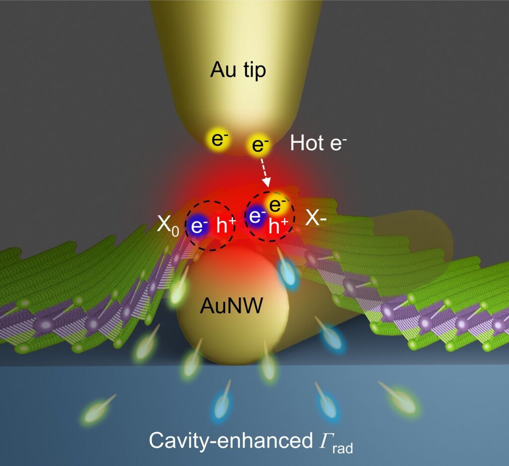 Researchers develop gold nanowire spectroscopy system to reveal how trions are generated