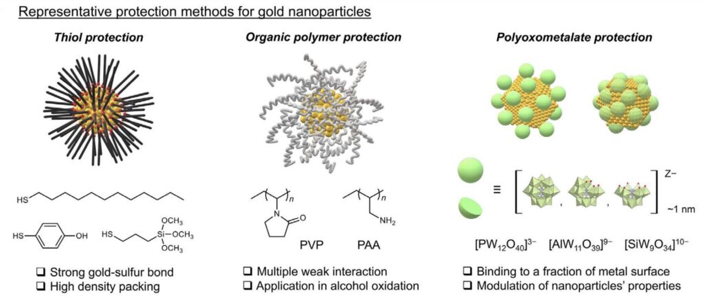 A protective layer applied to gold nanoparticles can boost its resilience