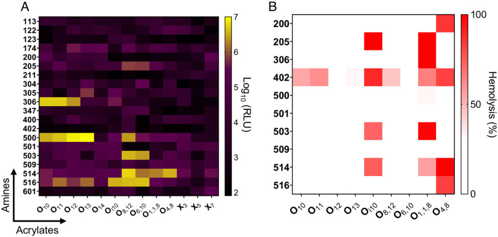 Designing nanoparticles for pregnancy-safe treatments