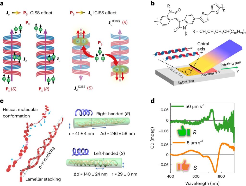 Printed polymer allows researchers to explore chirality and spin interactions at room temperature