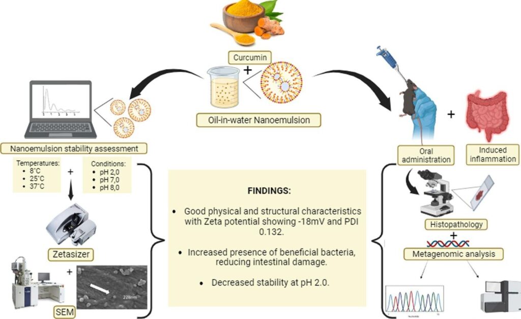 Researchers test curcumin nanoemulsion for treatment of intestinal inflammation