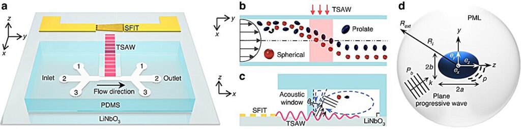 New technique for sorting micro-particles uses sound waves