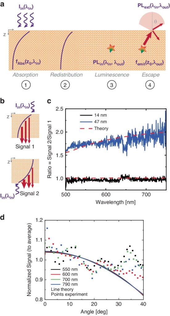 Comprehensive model unravels quantum-mechanical effects behind photoluminescence in thin gold films