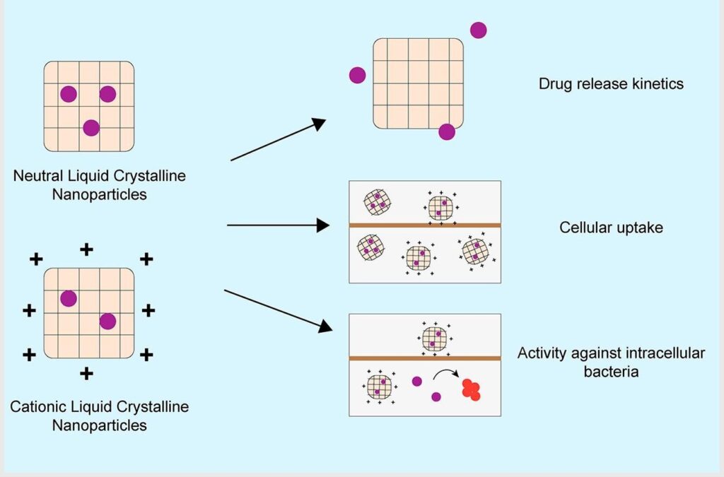 Liquid crystal nanoparticles could supercharge antibiotics for cystic fibrosis