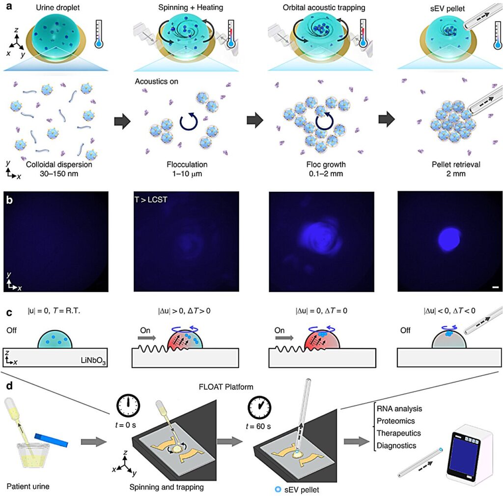 The future of early diagnosis