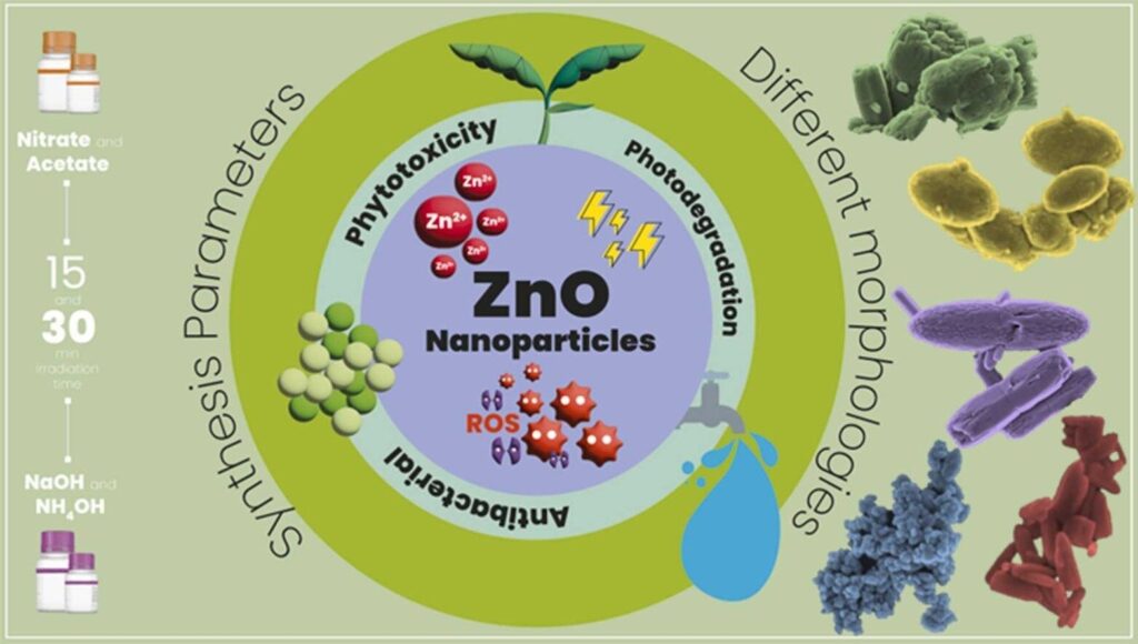 Study describes zinc oxide nanoparticle strategy for inactivation of multidrug-resistant bacteria