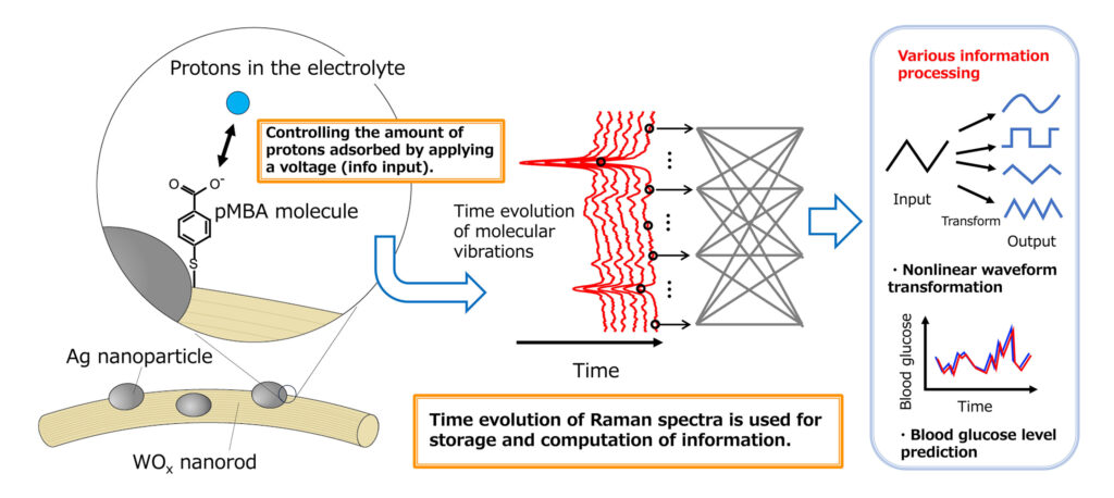 High-precision blood glucose level prediction achieved by few-molecule reservoir computing