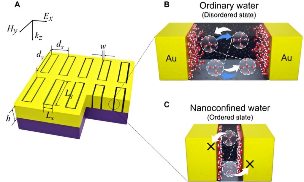 New research reveals terahertz waves’ impact on dynamics of nanoconfined water molecules