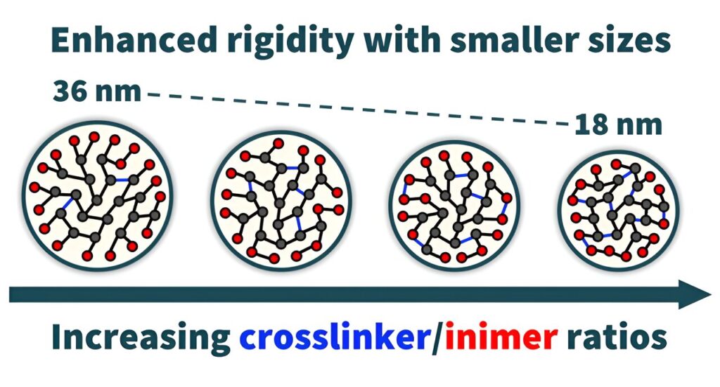 New class of organic nanoparticles shows promise for diverse applications