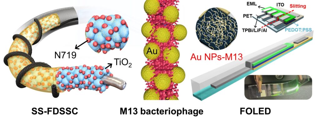 Achieving high performance and stability simultaneously: Developing hybrid bio-nanostructures