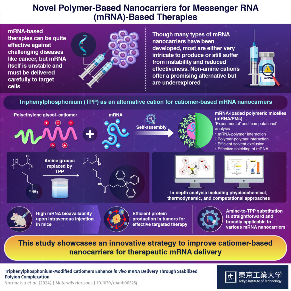 Improving the design of mRNA-loaded nanocarriers for targeted therapies