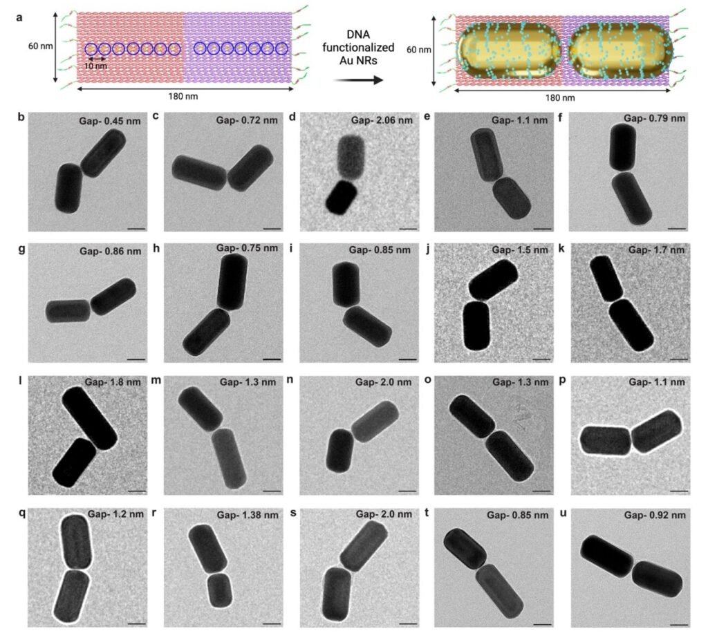 New technique to diagnose cancer metastasis uses origami nanoprobes