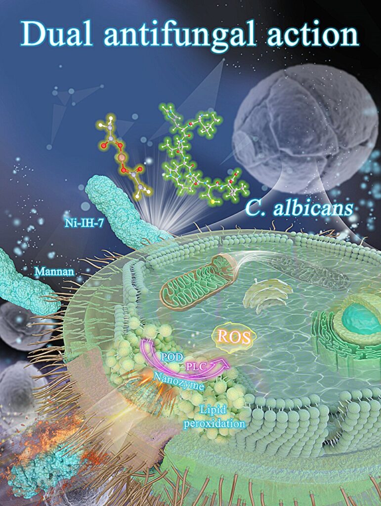 Scientists develop dual-functional, high-efficiency antimicrobial nanozyme