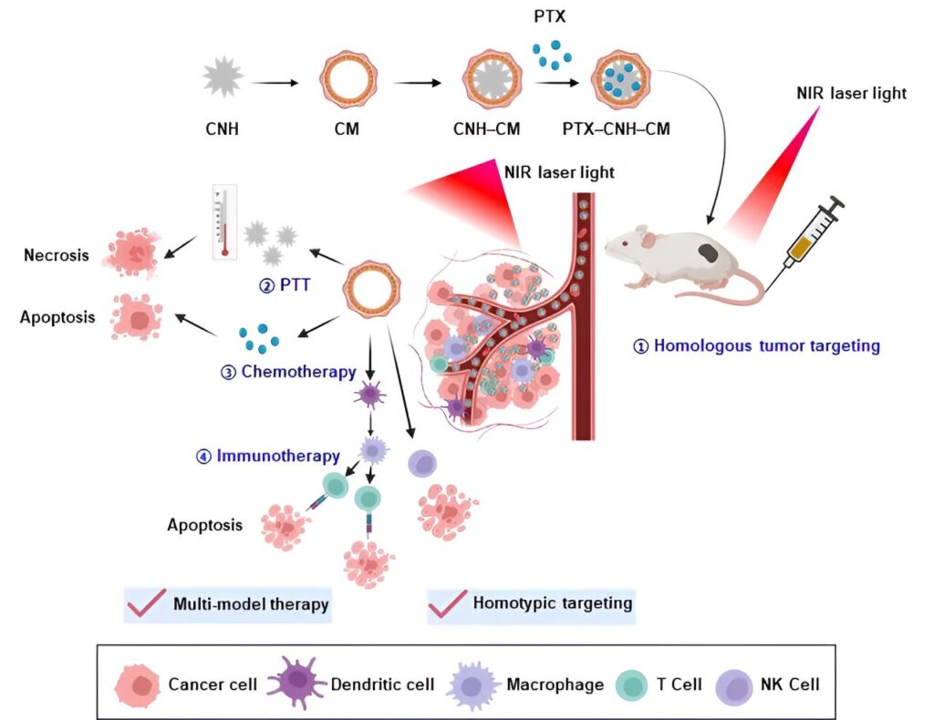 Novel carbon nanohorn-based treatment enables efficient delivery of drugs in cancer therapy