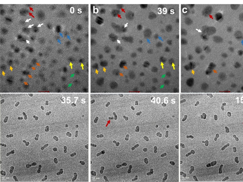 Understanding the forces that regulate crystallization by particle attachment