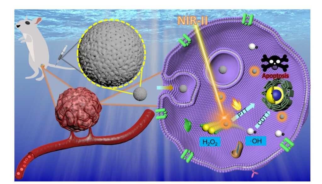 Iron-doped carbon-based nanoparticles boost cancer treatment with enhanced precision and safety