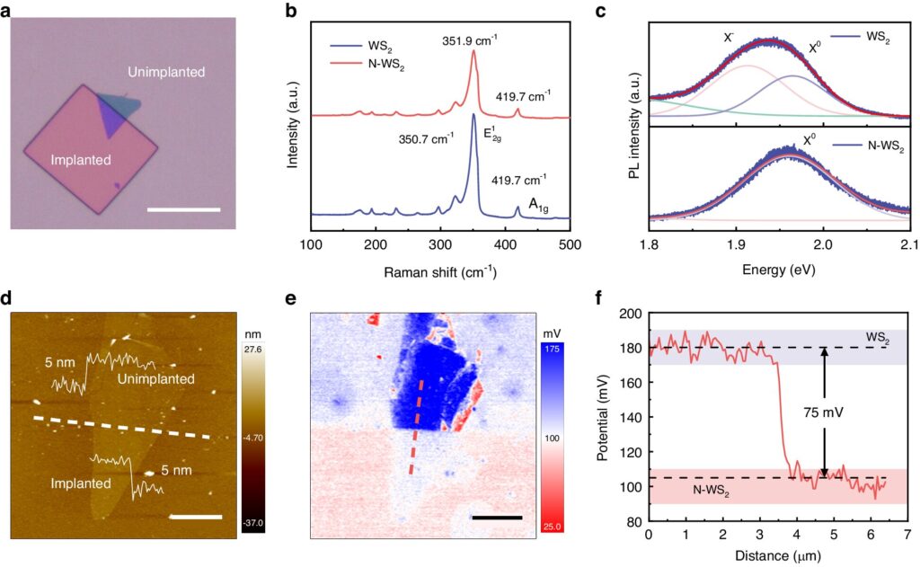 Low-energy ion implantation enables 2D lateral p-n junction construction