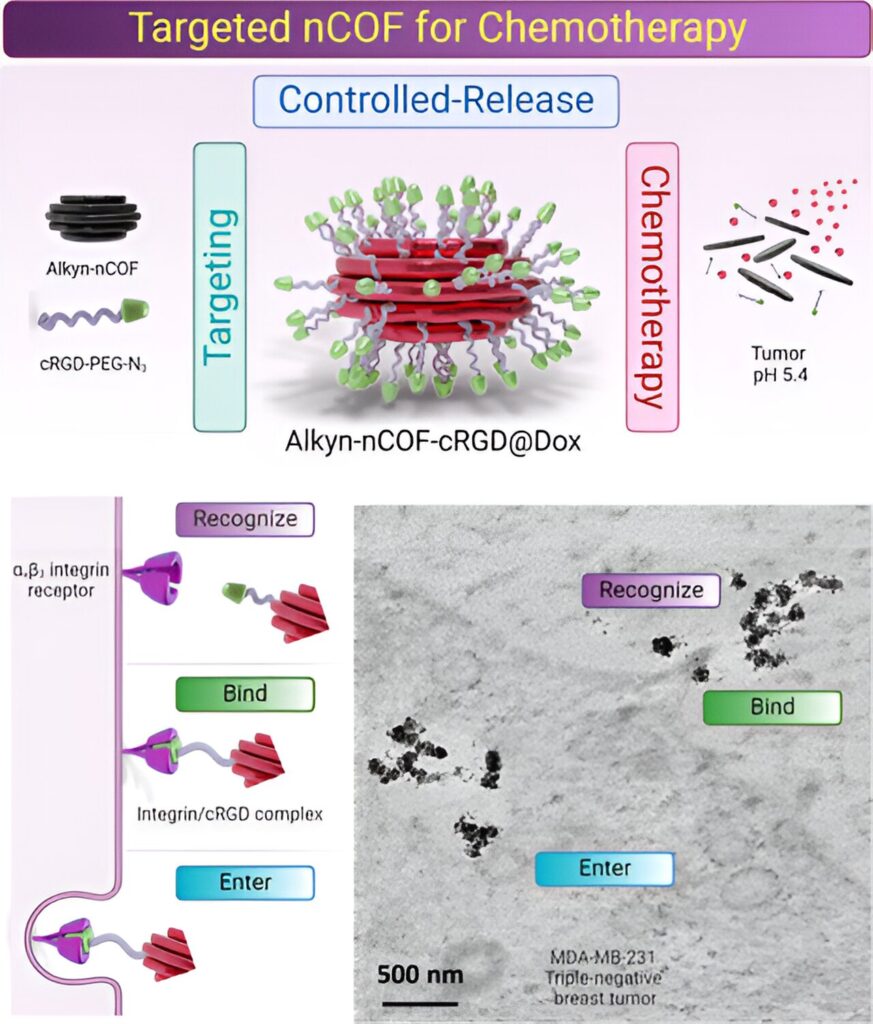 Researchers develop novel covalent organic frameworks for precise cancer treatment delivery