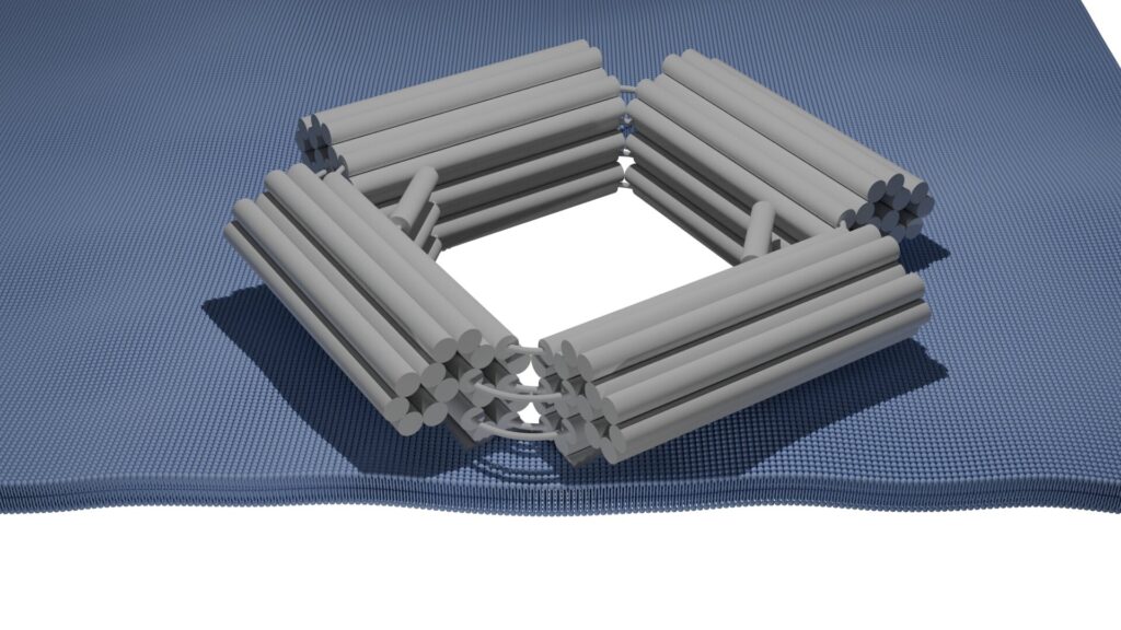 Novel DNA nanopores can open and close on demand for controlled drug delivery