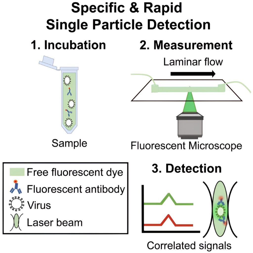 3D-printed setup enables fast and accurate virus detection