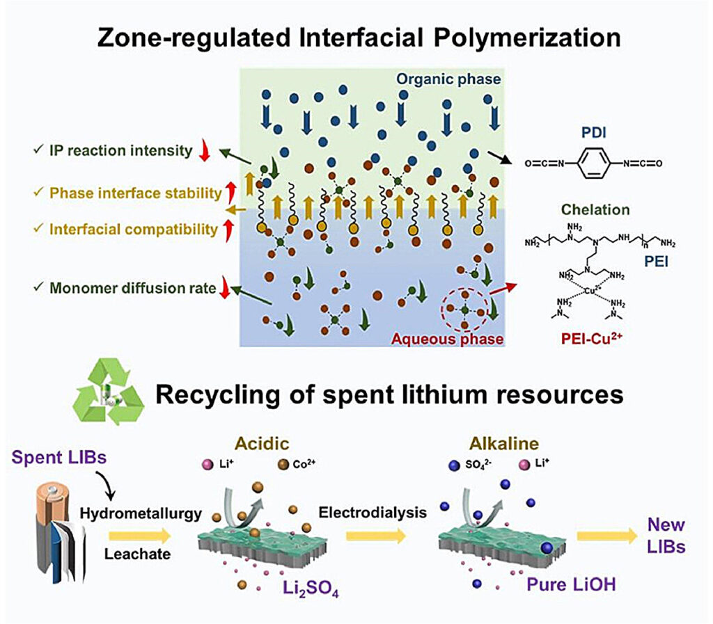 Researchers develop polyurea membranes for lithium recovery from waste batteries