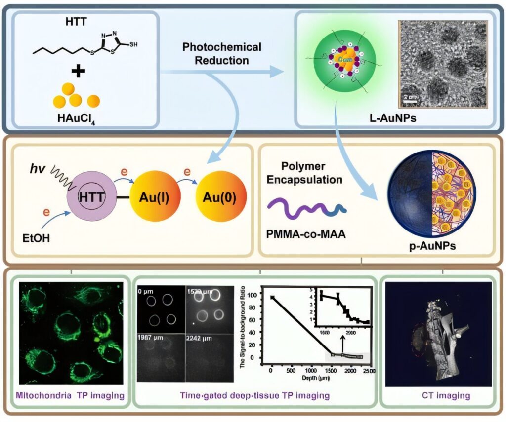 Photochemical method enhances luminescence in gold nanoprobes for bio-imaging