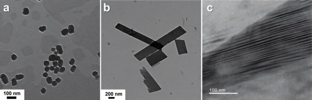 Chiral molecular self-assemblies that absorb light boost singlet fission process, research demonstrates