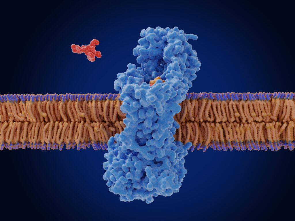 New framework links lipid nanoparticle structure to immune response