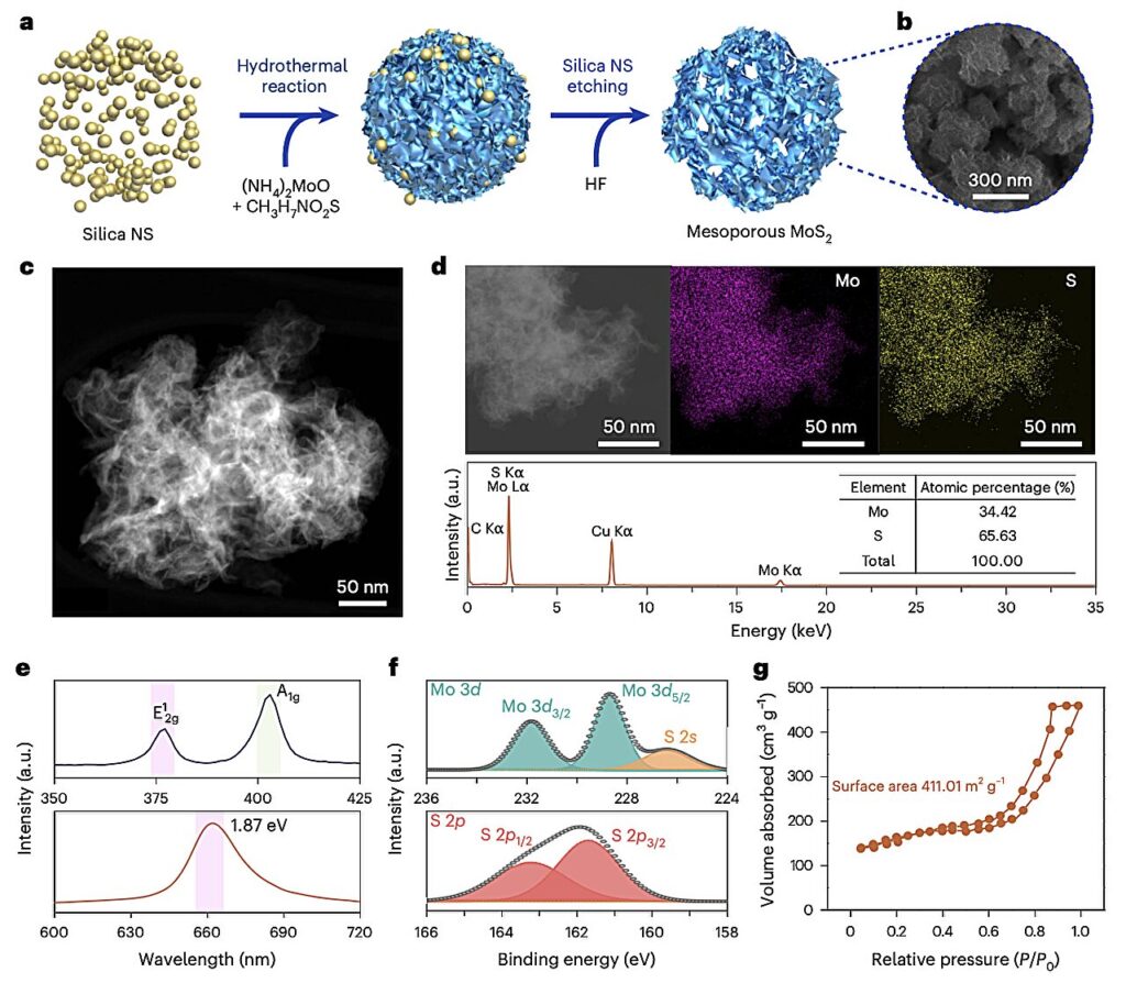 Mesoporous MoS₂ strategy boosts efficiency and stability of perovskite solar cells