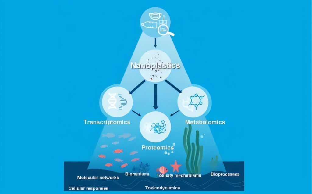 Multi-omics approach reveals nanoplastic toxicity in aquatic life