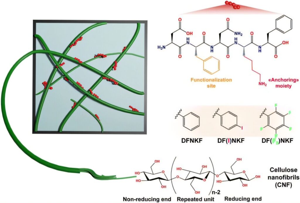 Sustainable hydrophobic cellulose shows potential for replacing petroleum-related products