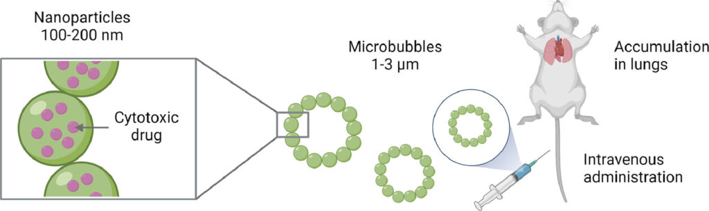 Using gas bubbles to precisely deliver nanomedicines shows promise for lung cancer treatment