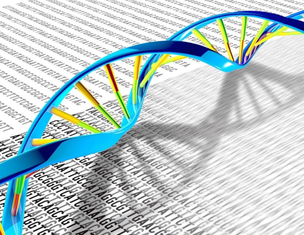 Scientists recreate molecular timers to control nanomachine activation rates