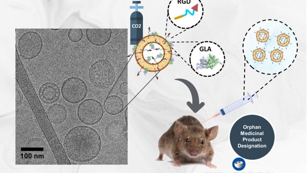 Nanoliposomes pave way for treatment of rare genetic disorder