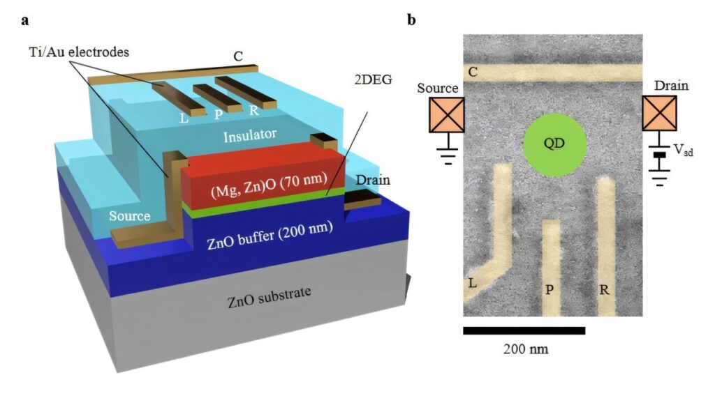 Electrically defined quantum dots in zinc oxide