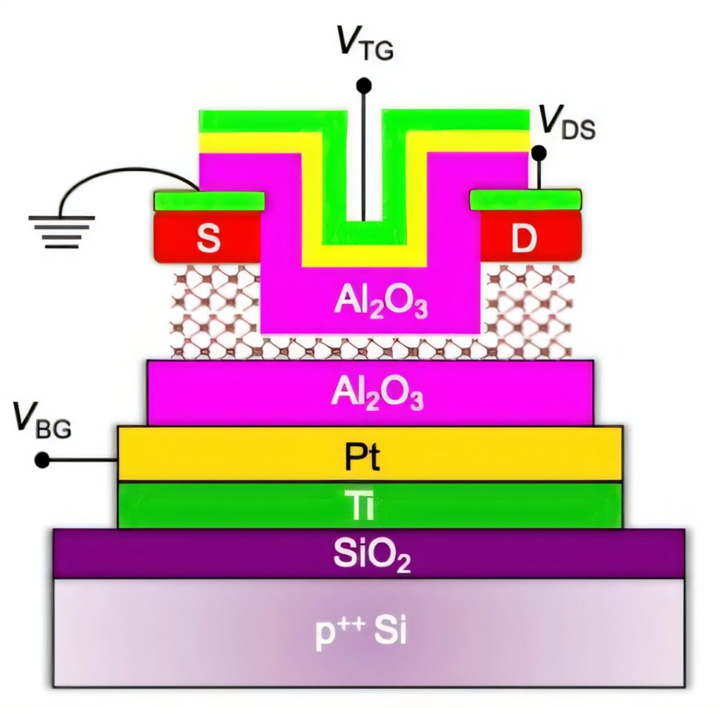 2D materials boost p-type transistor performance, paving way for future tech