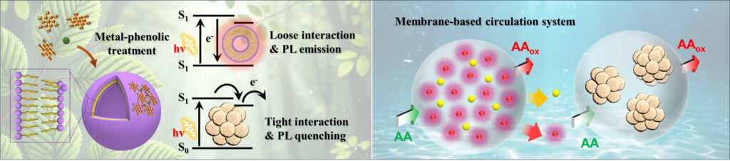 New solar hydrogen production technology developed