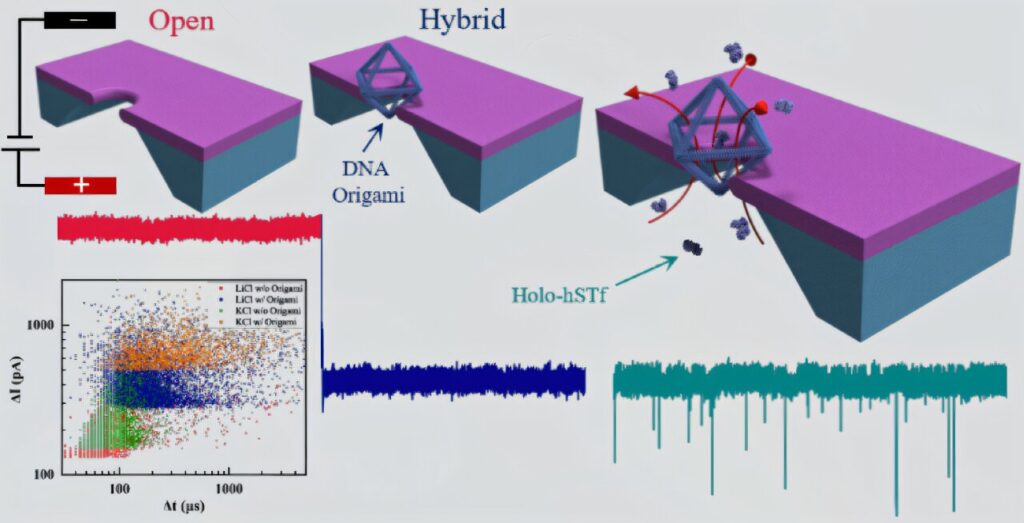 Mechanical engineer figures out way to enhance sensitivity of nanopores for early detection of diseases