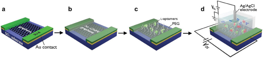 Chemists develop graphene-based biosensor, paving the way for advanced diagnostics