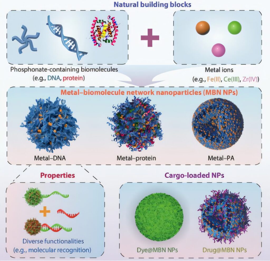 Nano drug delivery system eliminates need for complicated carriers