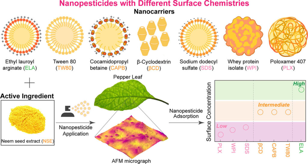 Nanopesticide delivery system made with neem seed extract improves pesticide effectiveness