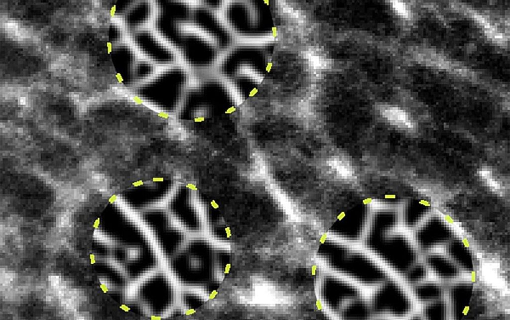 Image-processing method enhances visualization of electron microscope images in rubber materials