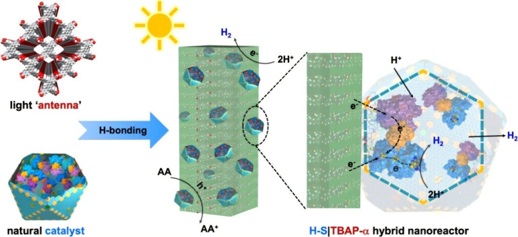 Light-driven hybrid nanoreactor offers cost-effective hydrogen production