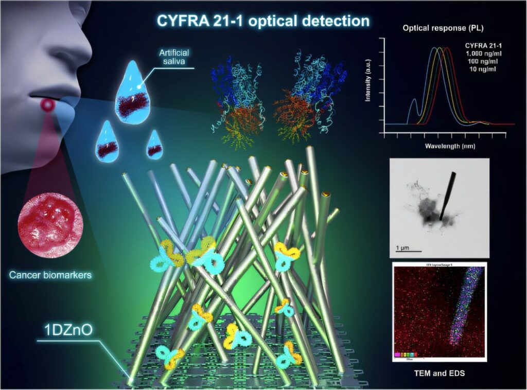 ZnO-based nanoplatforms show potential for early cancer screening