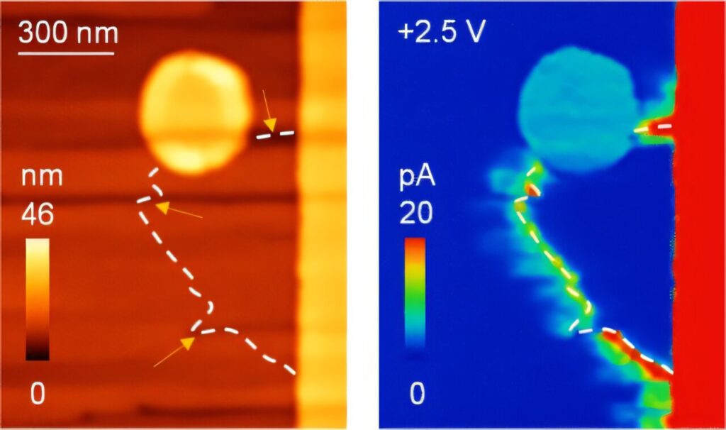 Brain-inspired nanotech offers new path for smarter electronics